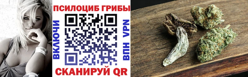 Купить где  Нефтекамск  Галлюциногенные грибы мицелий 
